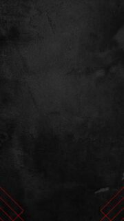 💥 RENTRÉE 2025 💥

Les vacances sont finies : 

Certains reprennent le travail, d’autres direction les cours à l’école. 

Il est donc temps de reprendre un bon rythme et se challenger 🔥

Quoi de meilleur qu’une reprise en main physique et sportive ? 💪

Nous vous aidons à faire le 1er pas avec cette offre valable à partir d’aujourd’hui et ce jusqu’au 30 septembre 2025. 

#rentrée #sport #musculation #var #toulon #physique #motivation #objectif